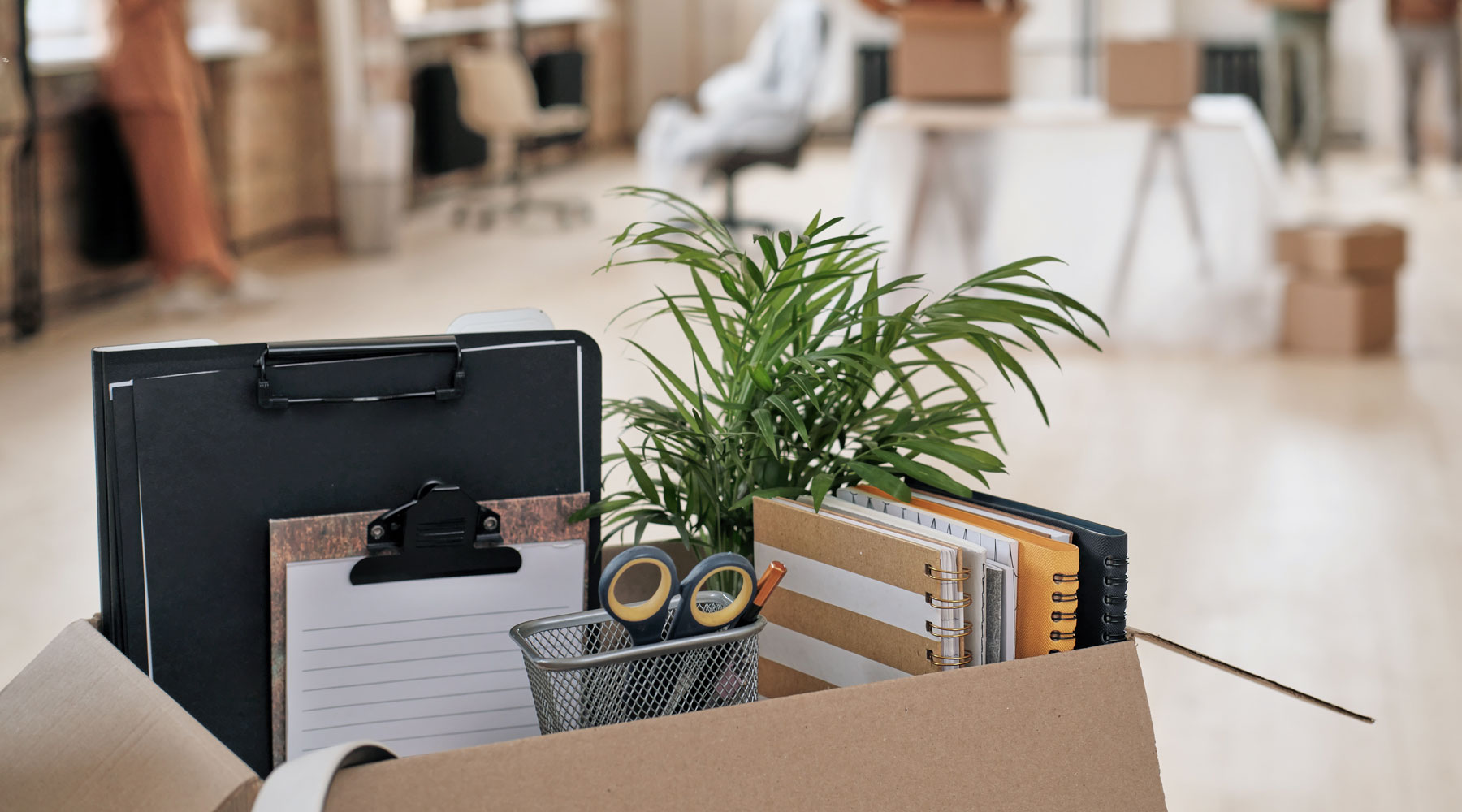 Why Commercial Movers are Best for Your Small Business
