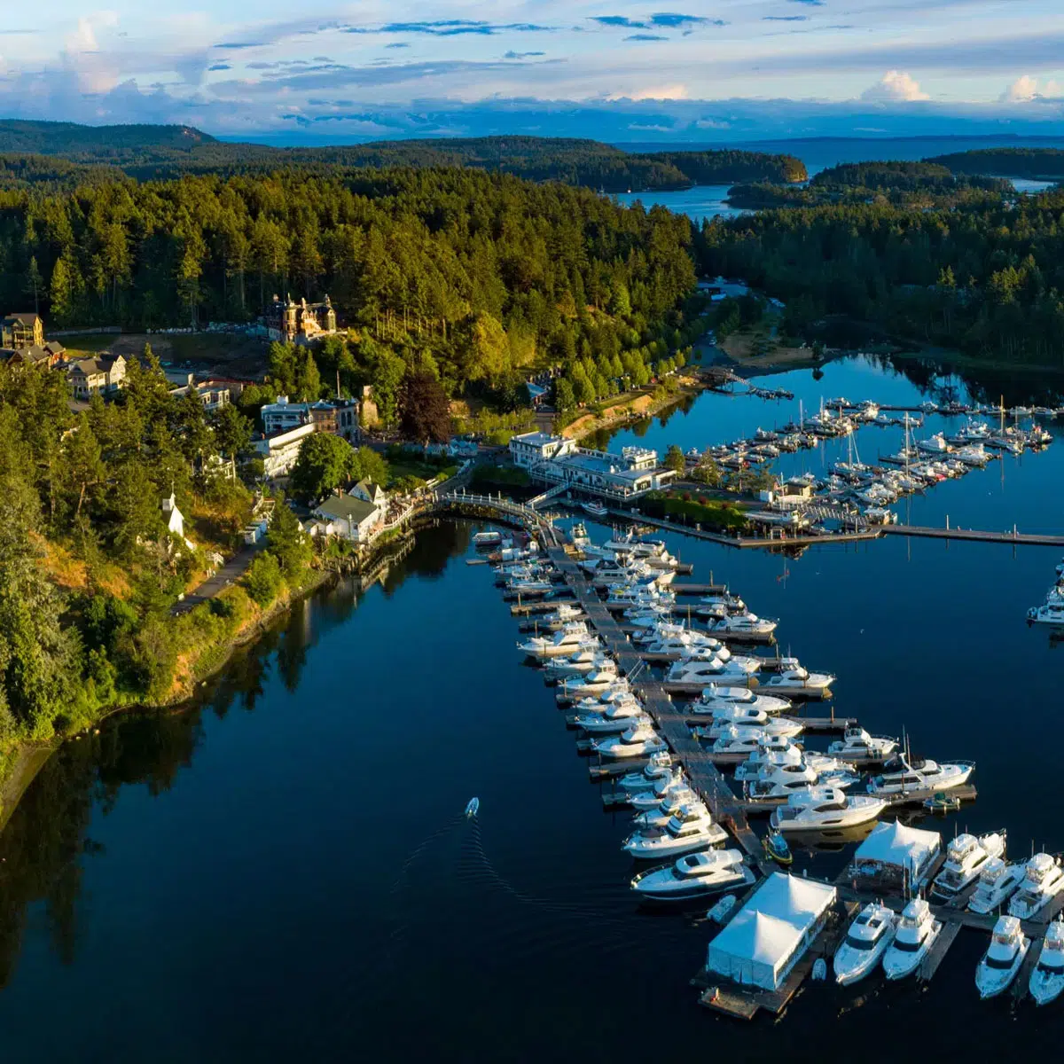 Island moving services - Adam's Moving Service