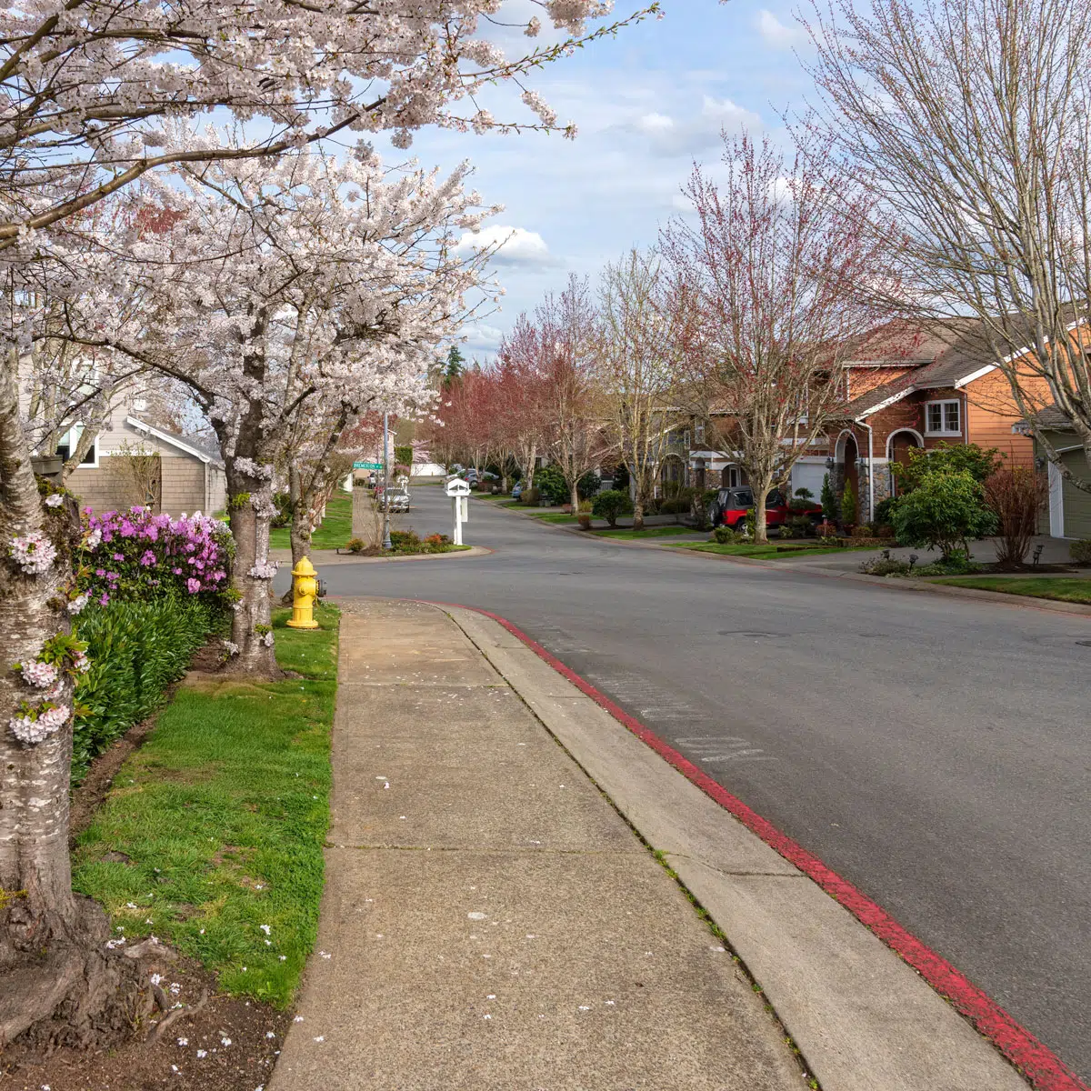 Kent Washington Moving Company - Adam's Moving Service