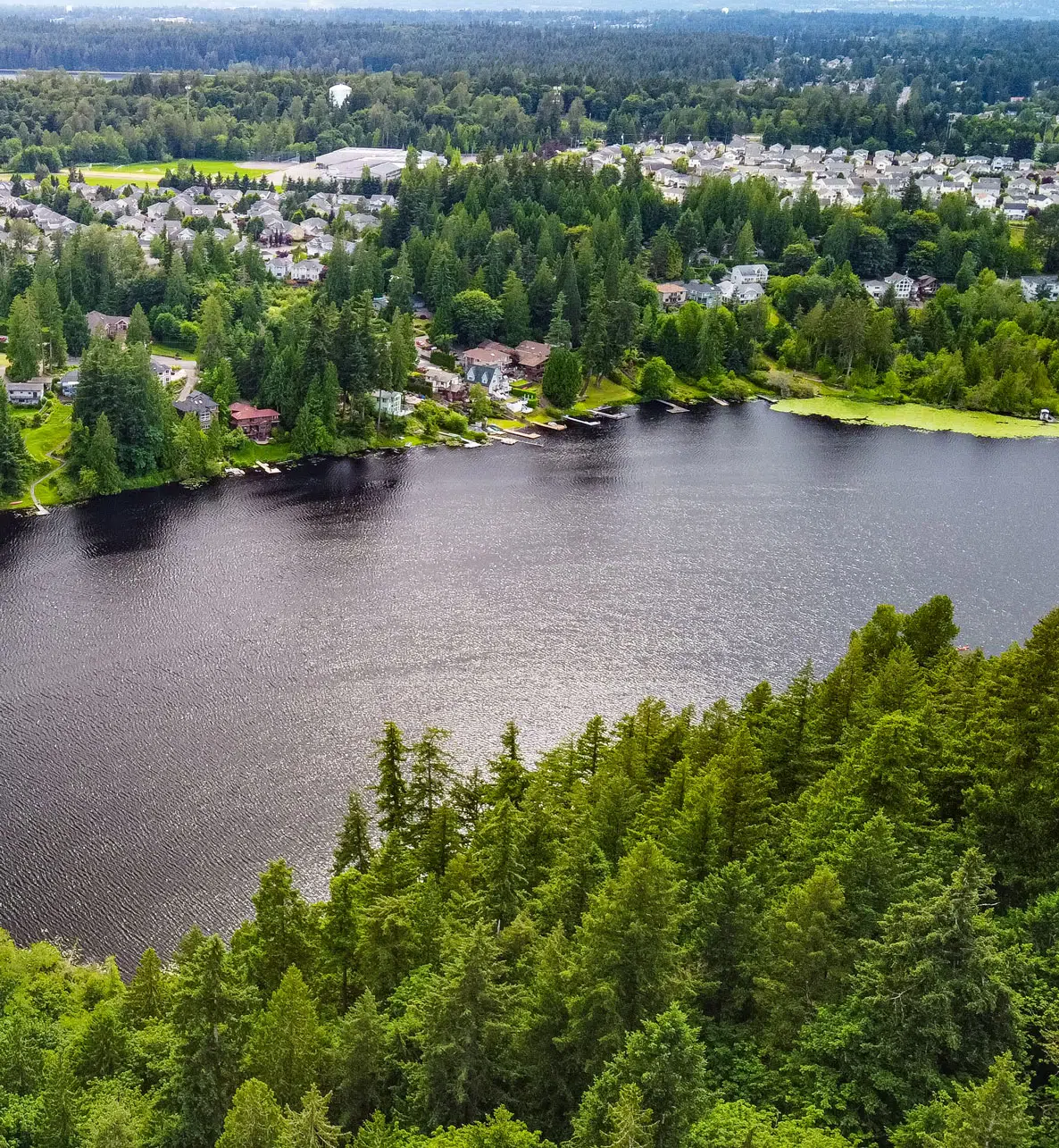 Renton Movers - Adam's Moving Service